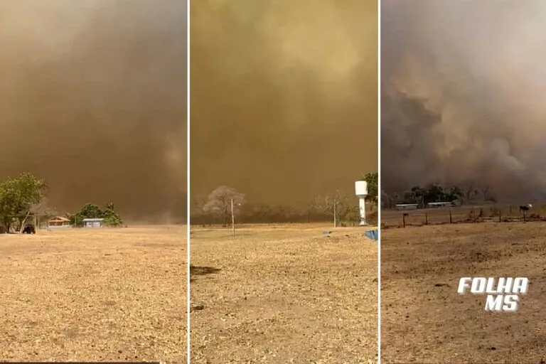 Imagens de incêndio em fazenda no Pantanal impressionam internautas nas redes sociais