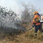 Com umidade do ar em 10%, Pantanal segue com nove focos de incêndios ativos