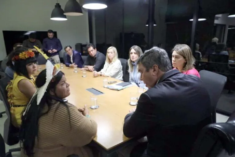Riedel e Ministra discutem ações conjuntas para pacificar conflitos com indígenas em MS