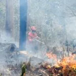 MS reforça combate a incêndios florestais em meio à seca que afeta o estado