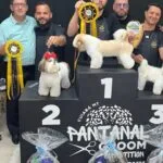 Mato Grosso do Sul celebra prêmio em competição nacional de estética animal na Expopet Cuiabá