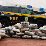 PRF apreende 49,5 kg de Skunk escondidos em caminhão de mudanças em Corumbá