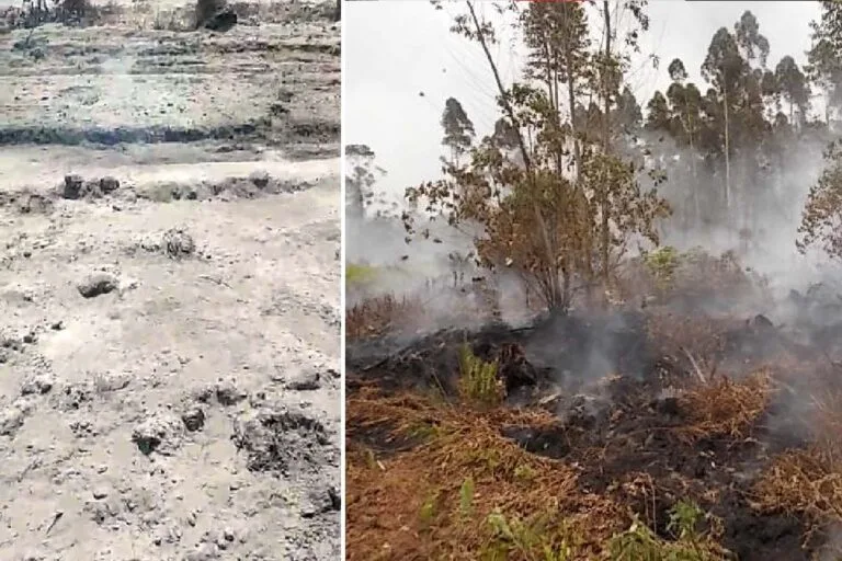 Incêndio de turfa: Fogo subterrâneo é desafio no combate as queimadas no Pantanal