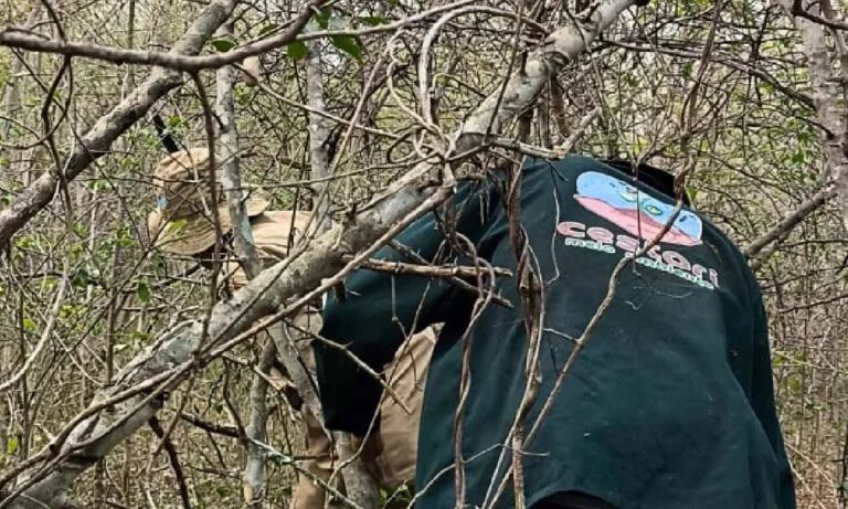 Bombeiros localizam homem desaparecido na região do Tamarineiro