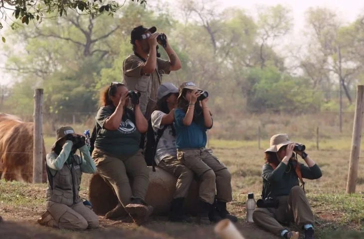 Você está visualizando atualmente Turismo em ascensão: desafio de observação de aves registra 345 espécies em MS