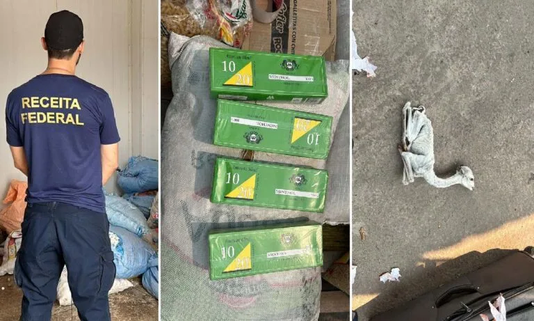 Operação apreende 2 toneladas de mercadorias irregulares e 19 fetos de lhama em ônibus