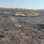 Acusado de incendiar área do Pantanal para criação de gado é multado em R$ 50 milhões pelo IBAMA