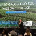 Área plantada de florestas em MS é a que mais cresce no país e chega a 1,5 milhão de hectares