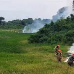 Pantanal de MS: chuvas acima da média auxiliam no combate aos incêndios