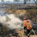 Bombeiros controlam incêndios no Pantanal; Paraguai-Mirim segue em alerta