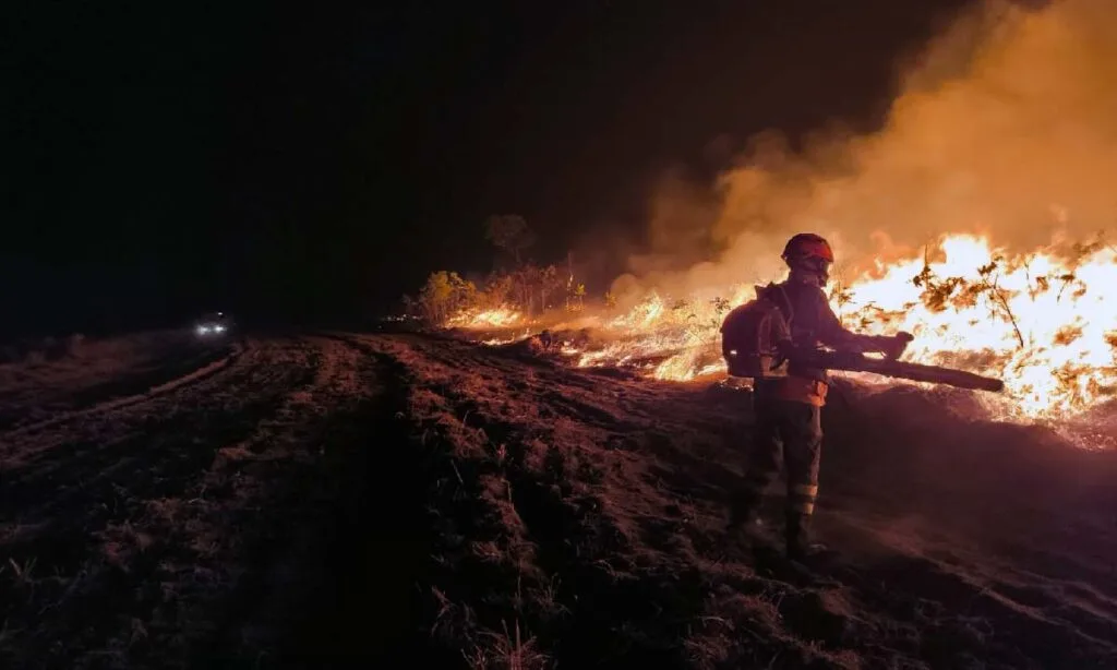 combate incendios pantanal2