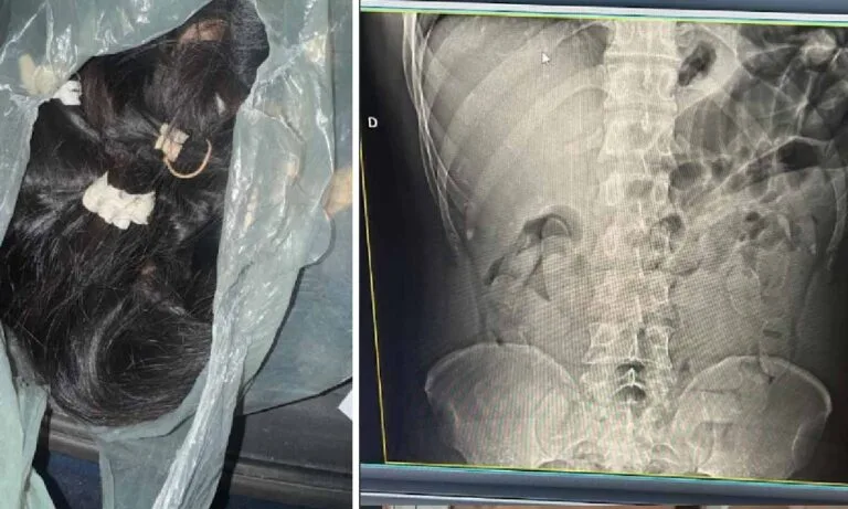 Receita Federal apreende drogas e 20 kg de cabelo humano em Corumbá