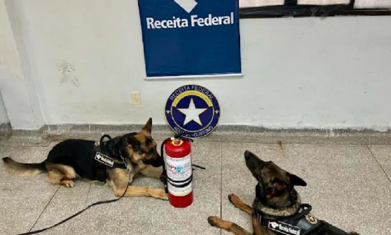 Receita Federal apreende R$400 mil em drogas e mercadorias em Corumbá