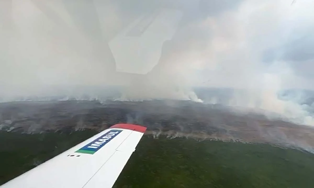 Você está visualizando atualmente Chuva não é suficiente e fogo ainda avança no Pantanal