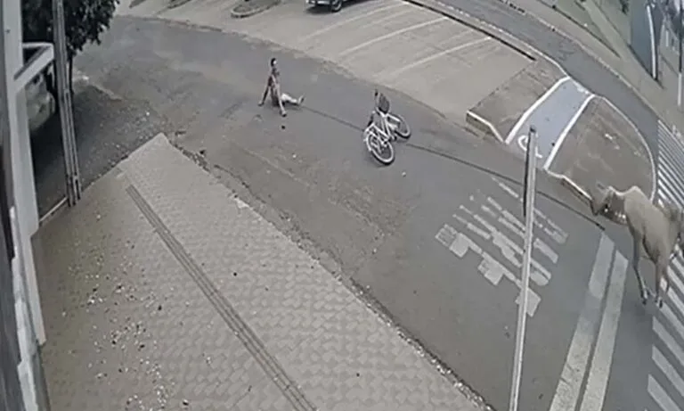 Jovem fica ferido após ser arrastado por cavalo em Caarapó | vídeo