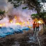 IHP convoca médicos e enfermeiros voluntários para ajudar vítimas de incêndios no Pantanal