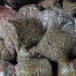 PRF apreende 15 kg de maconha em fiscalização na BR-262 em Corumbá