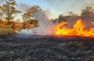 Leia mais sobre o artigo Quatro focos de incêndio em MS: combate aos incêndios no Pantanal completa 198 dias