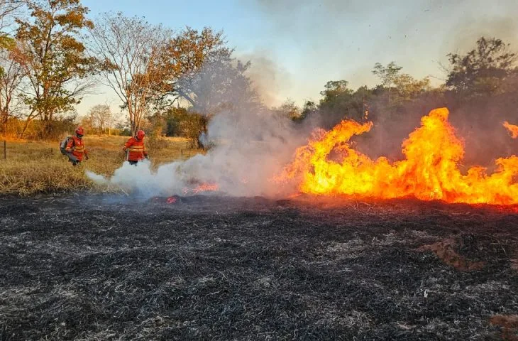 Você está visualizando atualmente Quatro focos de incêndio em MS: combate aos incêndios no Pantanal completa 198 dias