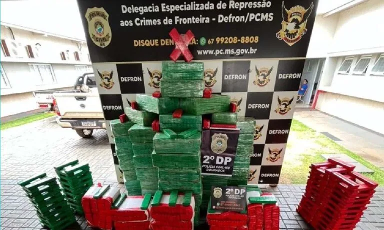 Polícia Civil apreende quase 2 toneladas de maconha e prende dois homens em Dourados