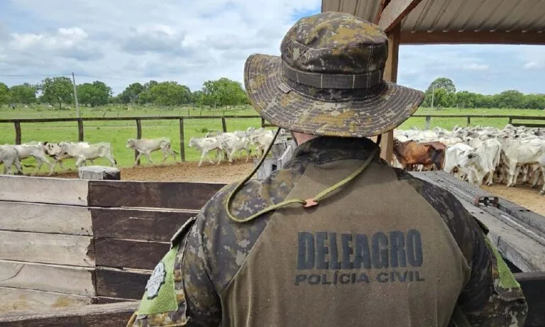 Polícia apreende gado furtado em leilão e descobre lote irregular avaliado em R$ 400 mil 