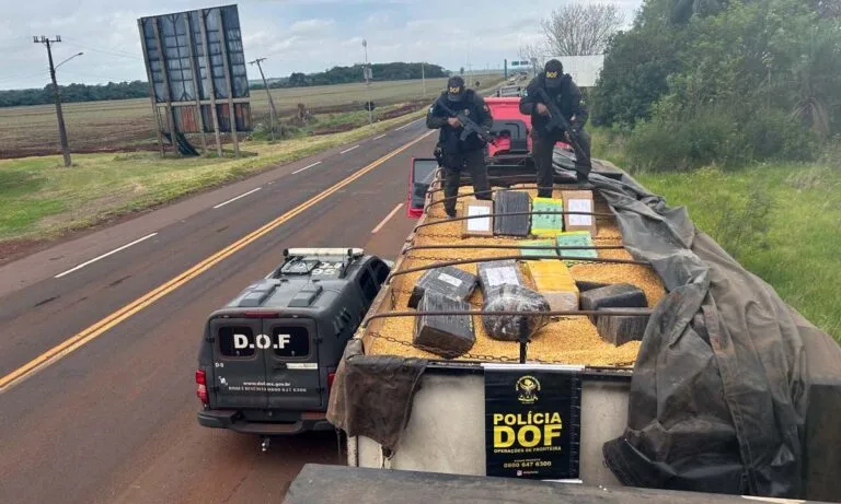 DOF apreende 12 toneladas de maconha escondidas em carga de milho em MS