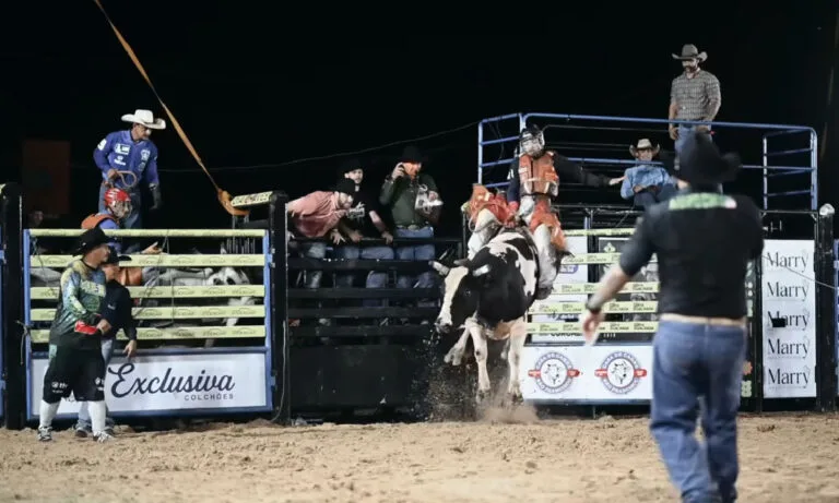 Feapan reúne 20 mil pessoas e reforça papel da pecuária no Pantanal