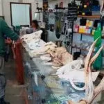 Ibama apreende itens ilegais de animais silvestres em loja de Campo Grande