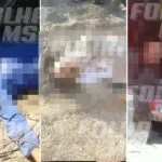 Desentendimento acaba com três mortos em fazenda na região de Forte Coimbra