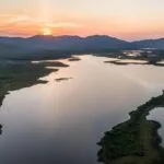 Etapa no Pantanal de curso com especialistas busca fortalecer conservação no país