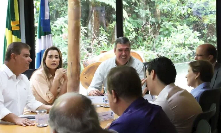 Governo de Mato Grosso do Sul e bancada federal discutem ações estratégicas para 2025