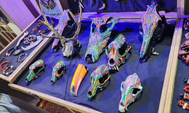 Mulher é detida em Bonito por vender carcaças de animais silvestres como obras de arte