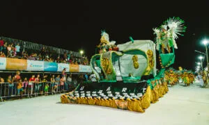 Leia mais sobre o artigo Fundação de Cultura repassa R$ 1,2 milhão para Carnaval de Campo Grande 2025