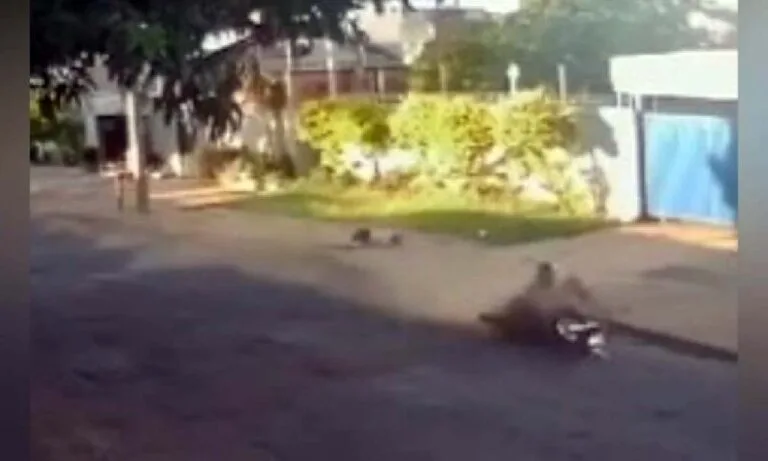 Mulher é socorrida em estado grave após ser atropelada e motociclista fugir do local