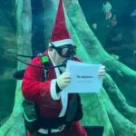 Papai Noel mergulhador marca programação natalina no Bioparque Pantanal
