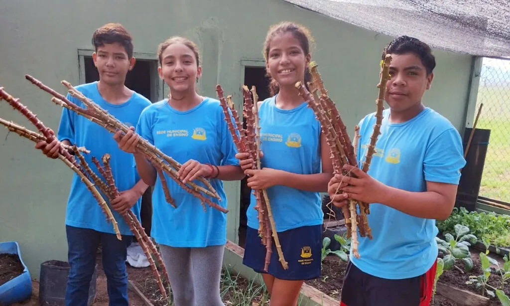 pomar na escola6 projeto pomar na escola