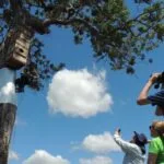 Mato Grosso do Sul é Top 3 no concurso de turismo sustentável da Embratur
