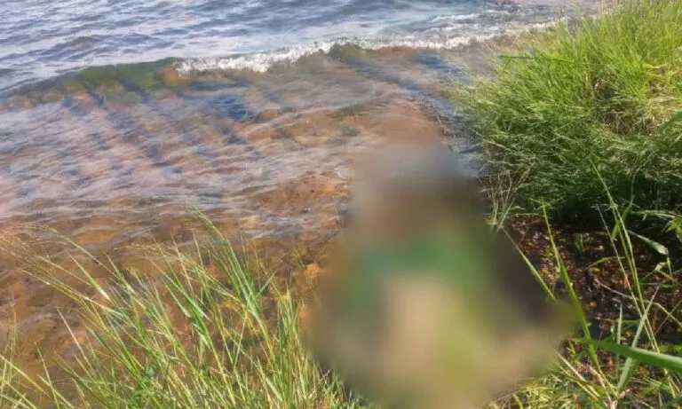 afogado no Rio Paraná