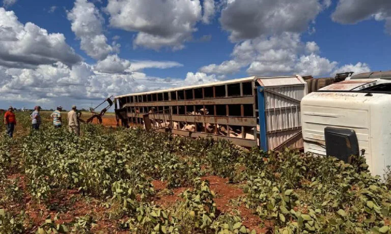 Acidente com carreta boiadeira mobiliza resgate em Nova Andradina