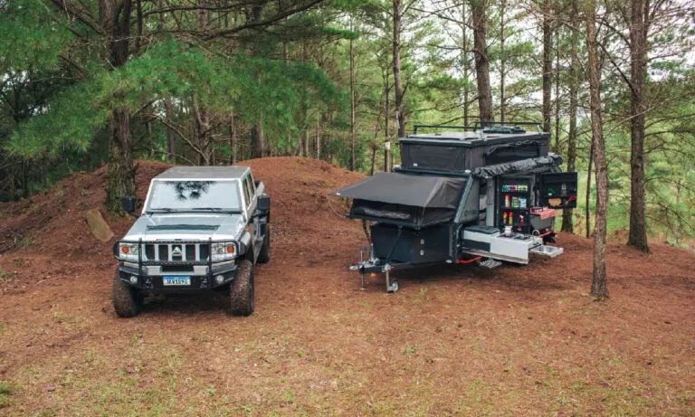 Vetorial converte multa em projeto de hospitais veterinários móveis para o Pantanal
