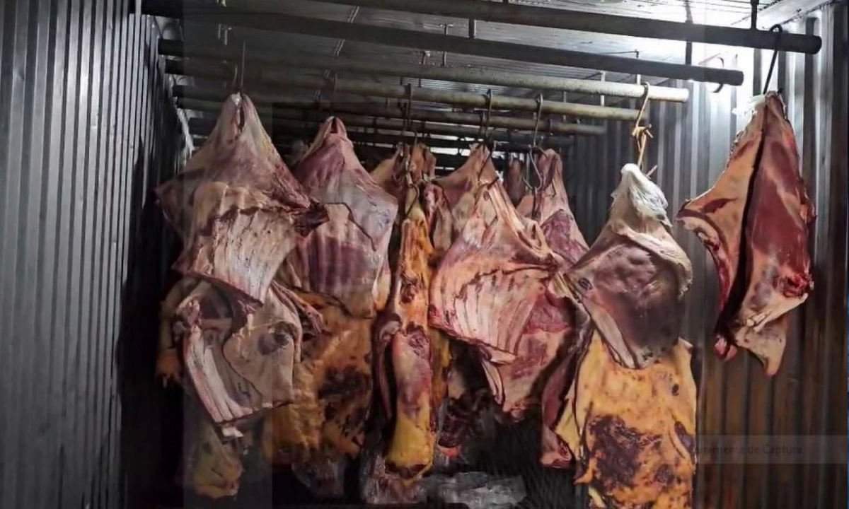 venda de carne que ficou submersa em enchente é alvo de operação da Polícia no RJ