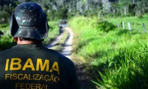 Leia mais sobre o artigo Concurso Ibama 2025: 460 vagas para analista administrativo e ambiental