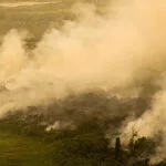 AGU cobra R$ 725 milhões de fazendeiros por danos ambientais no Pantanal