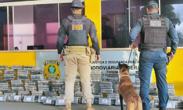 Com auxílio e cães farejadores, PRF apreende 237 kg de cocaína em caminhão de mudança