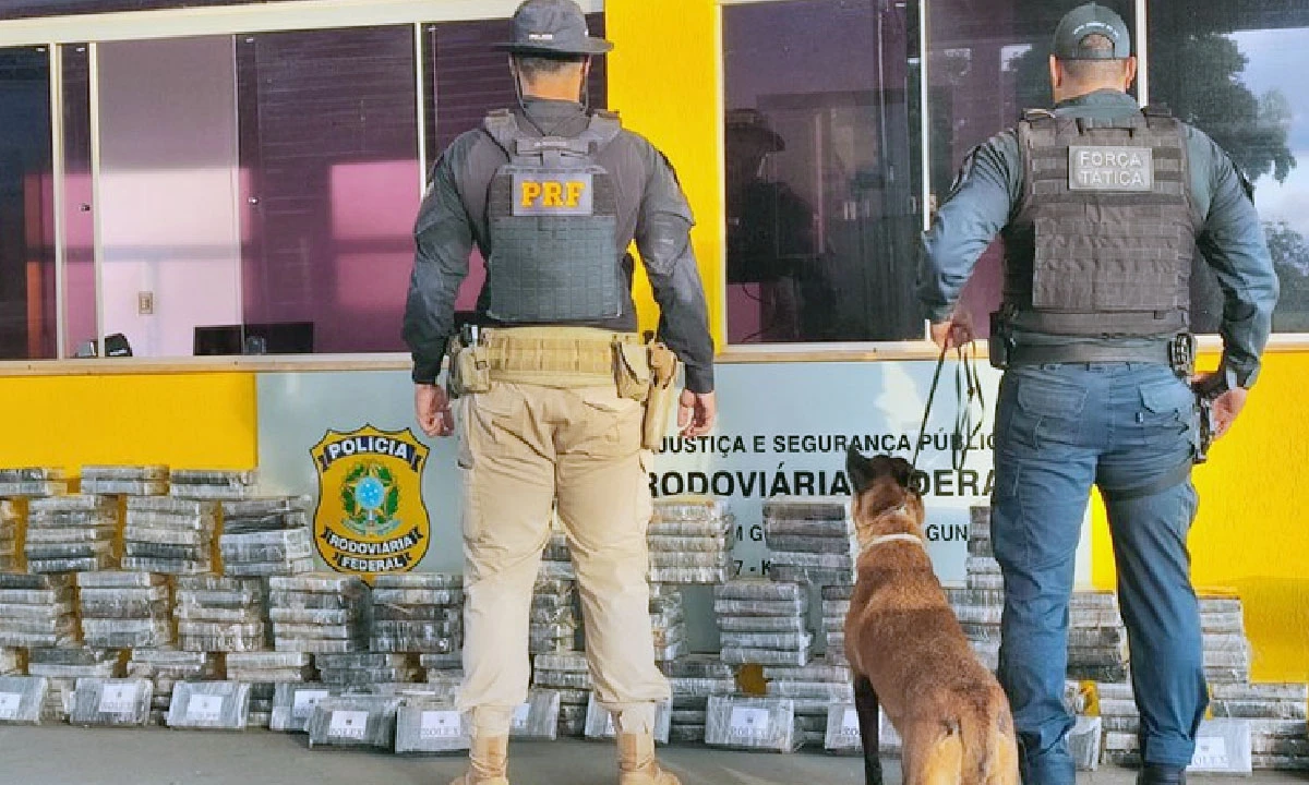 Leia mais sobre o artigo Com auxílio e cães farejadores, PRF apreende 237 kg de cocaína em caminhão de mudança