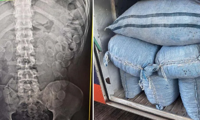 apreensão receita federal