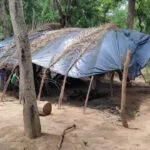 Trabalhadores são resgatados de situação análoga à escravidão no Pantanal