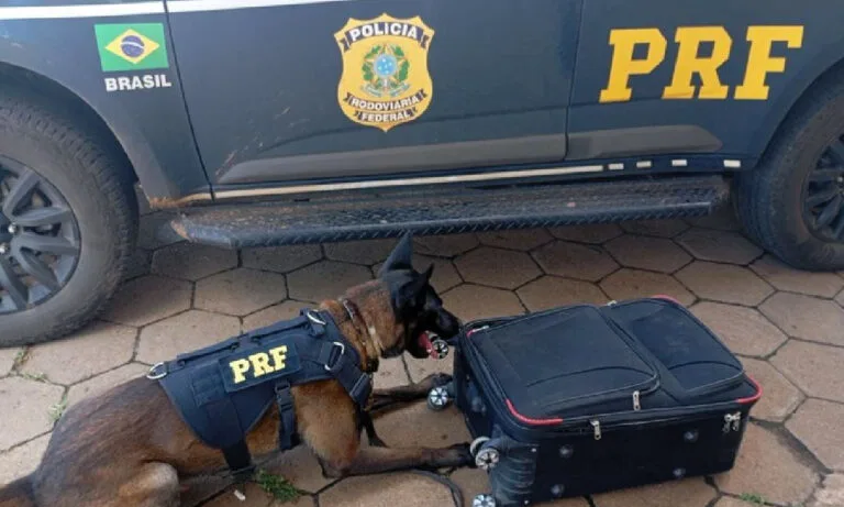 PRF apreende cocaína