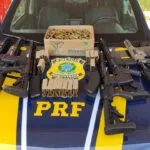 Caminhão vindo de Corumbá com drogas e fuzis é flagrado pela PRF na BR-267