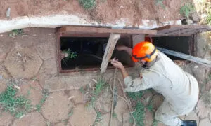 Leia mais sobre o artigo Cães são resgatados após uma semana presos em bueiro em Bataguassu